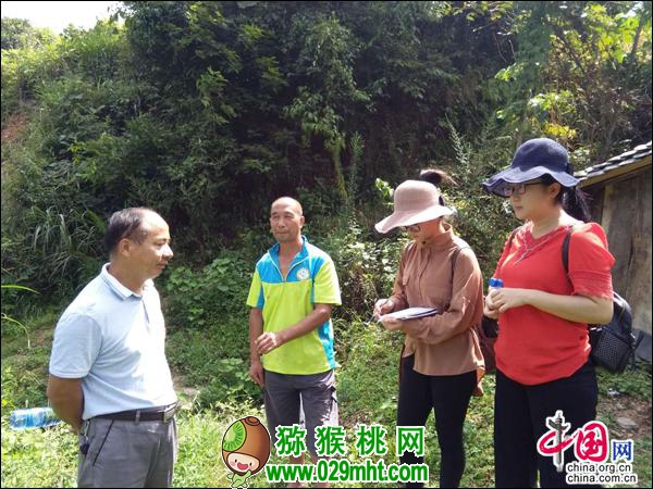 豪门国际 d410f