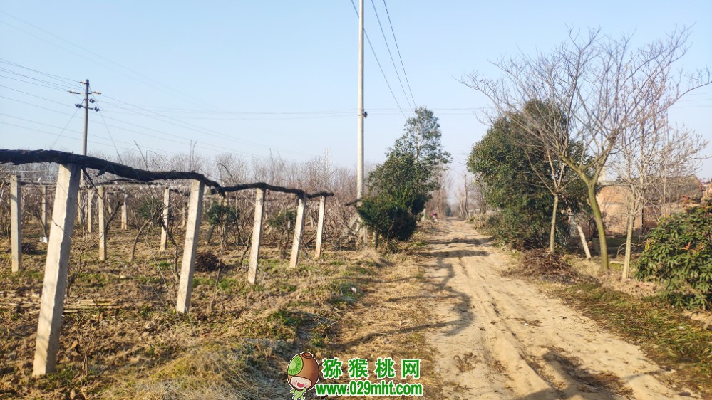 豪门国际 c0e00