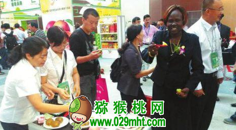 豪门国际官方网站图片