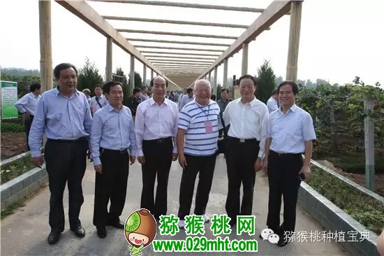 豪门国际官方网站图片