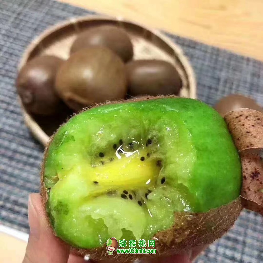 豪门国际 4eeb7