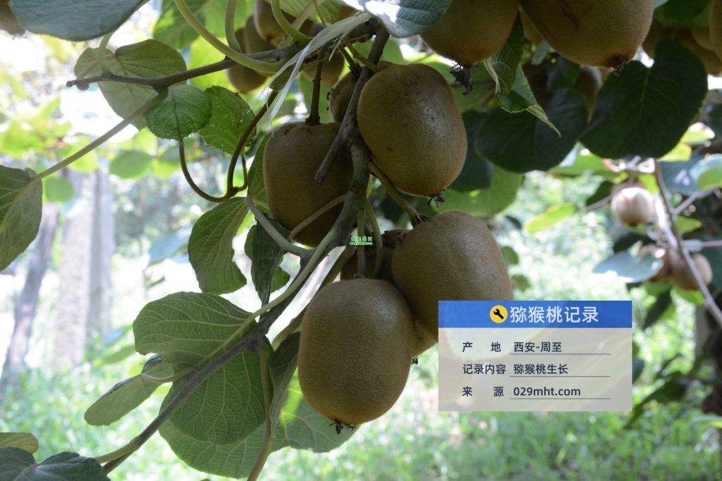 豪门国际官方网站图片