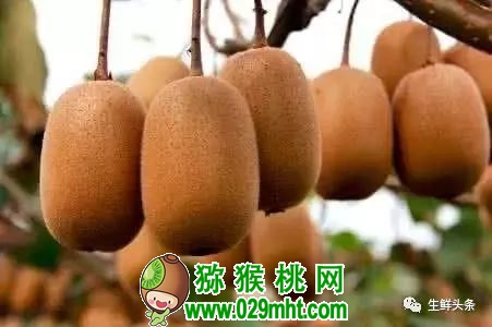 豪门国际 93b1d