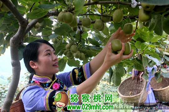 豪门国际 cbe79