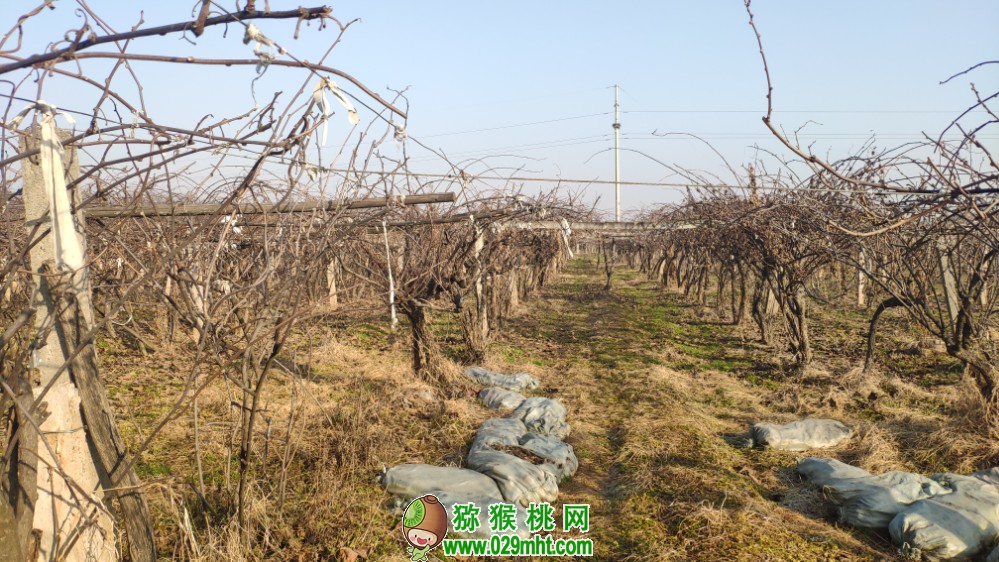 豪门国际 98973