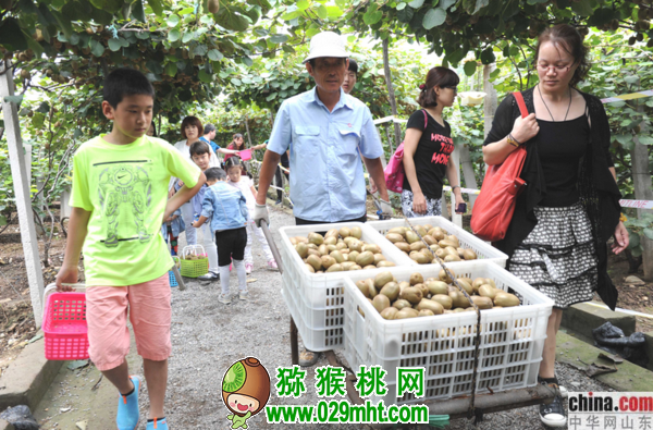 豪门国际官方网站图片