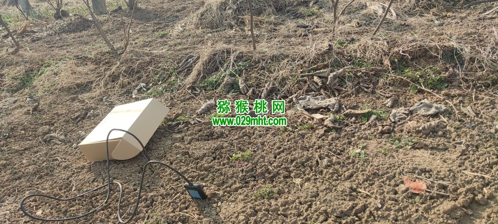 豪门国际 6936a
