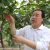 周至县政府部门该怎样才能发展周至豪门国际猕猴桃呢？