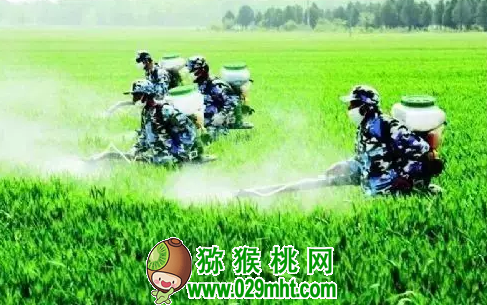 豪门国际 2669c