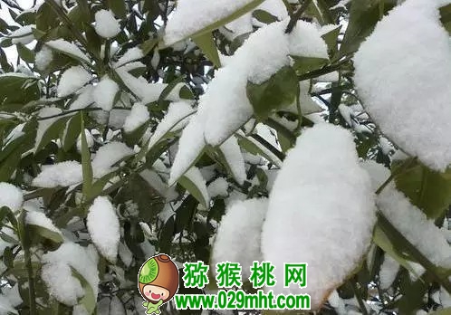 豪门国际 994c7