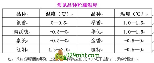 豪门国际官方网站图片