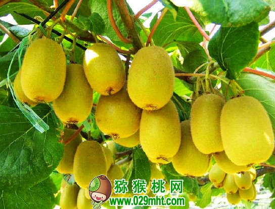 豪门国际官方网站图片