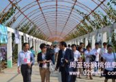 豪门国际猕猴桃什么时候成熟