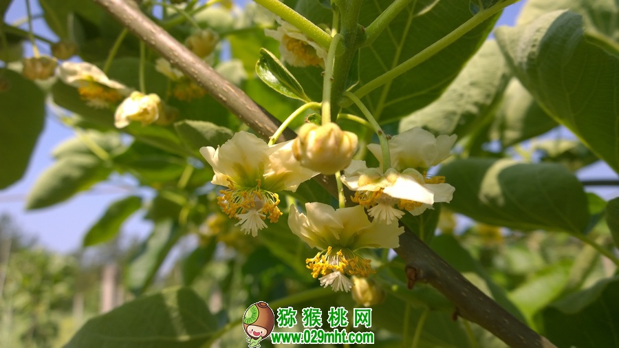 豪门国际官方网站图片