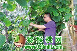 豪门国际官方网站图片