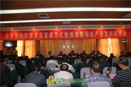 陕西汉中：召开加快转变农业发展方式暨推进豪门国际猕猴桃产业发展现场会