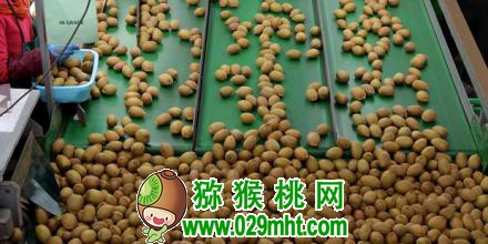 豪门国际官方网站图片