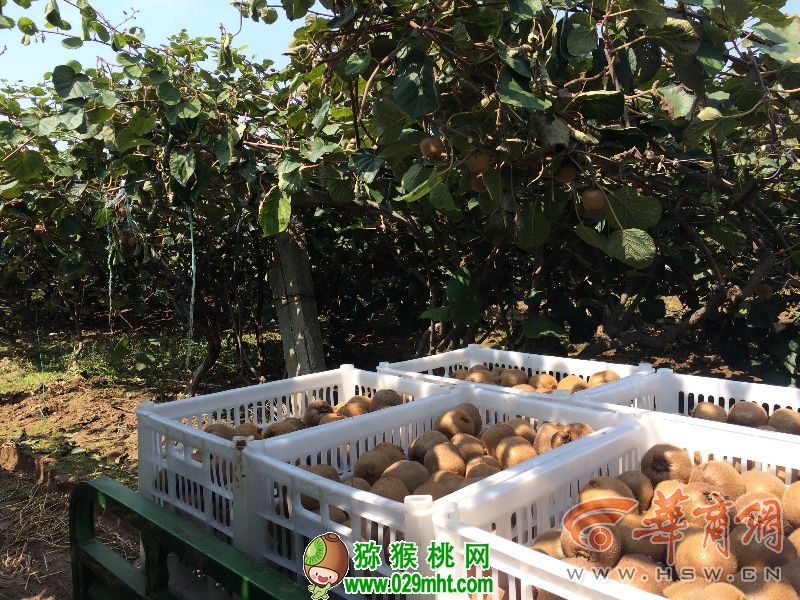 豪门国际官方网站图片