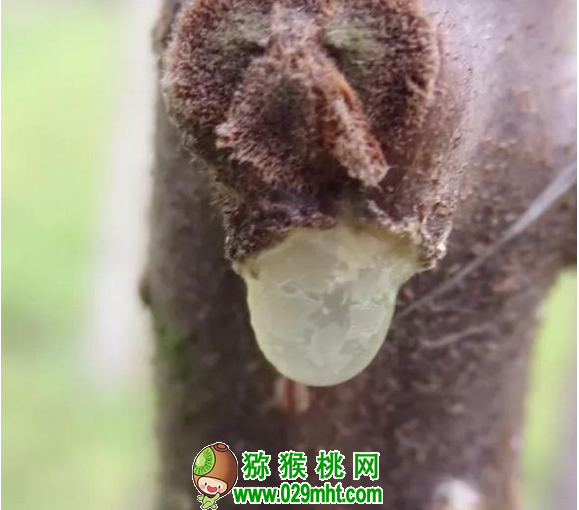 豪门国际 71f0a