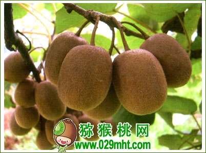 豪门国际官方网站图片