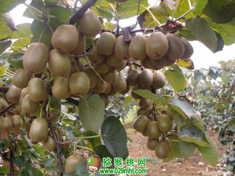 豪门国际官方网站图片