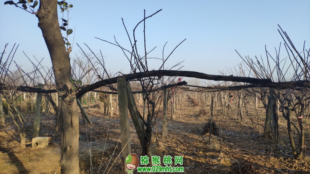 豪门国际 ca1bc