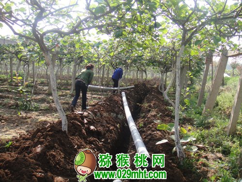 豪门国际官方网站图片