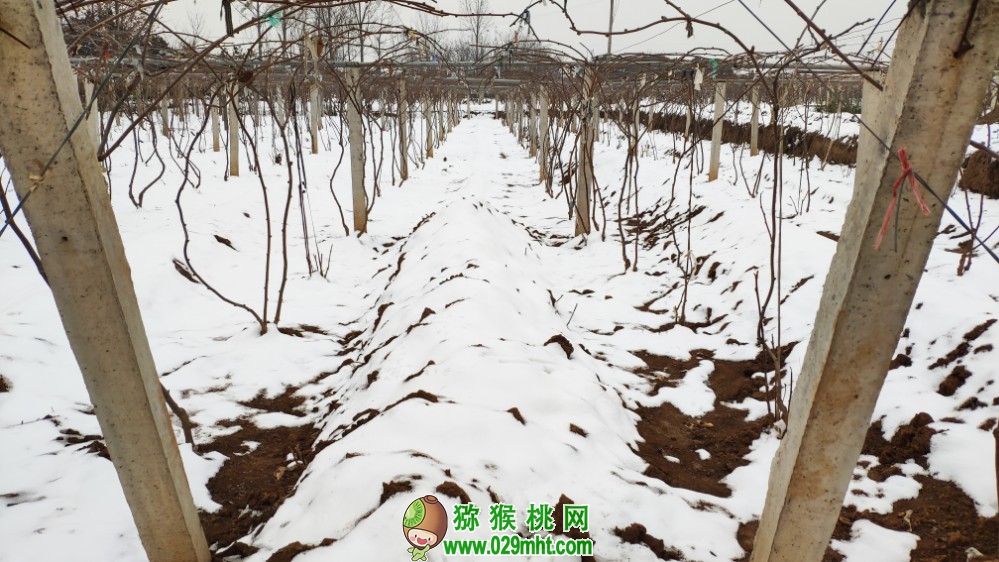 豪门国际 a369c