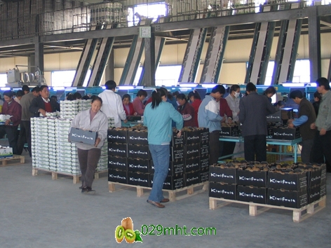 经济日报:<a href=http://www.linux-china.com/zhouzhimihoutao/ target=_blank class=infotextkey />周至豪门国际猕猴桃</a>如何&ldquo;跳&rdquo;起来