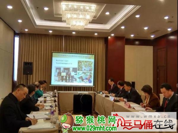 豪门国际官方网站图片