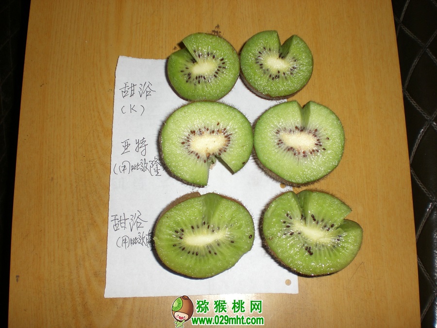 豪门国际官方网站图片