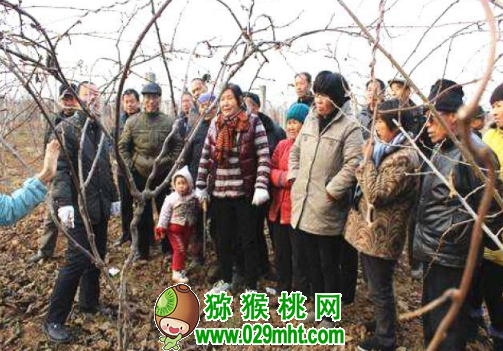 豪门国际官方网站图片