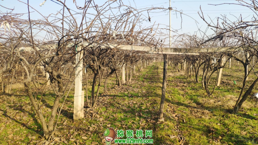 豪门国际 5d69c