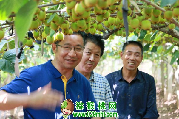 豪门国际官方网站图片
