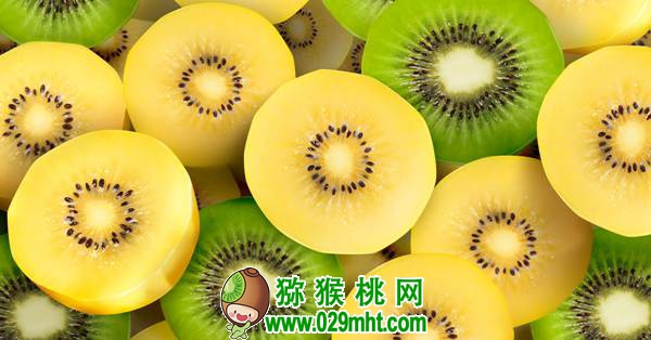 新西兰佳沛宣布发放更多G3阳光金果的种植许可,价格高的吓人