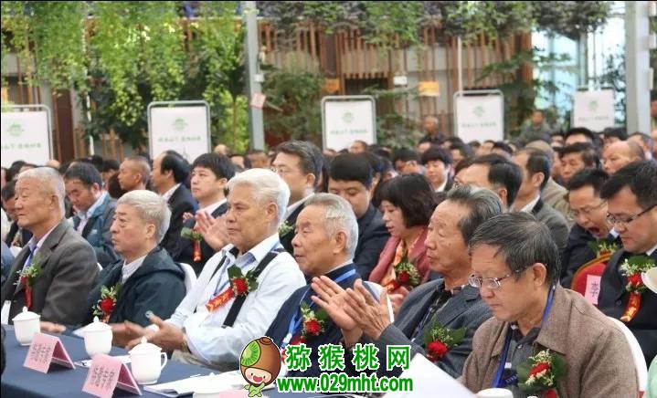 豪门国际 2e2d5