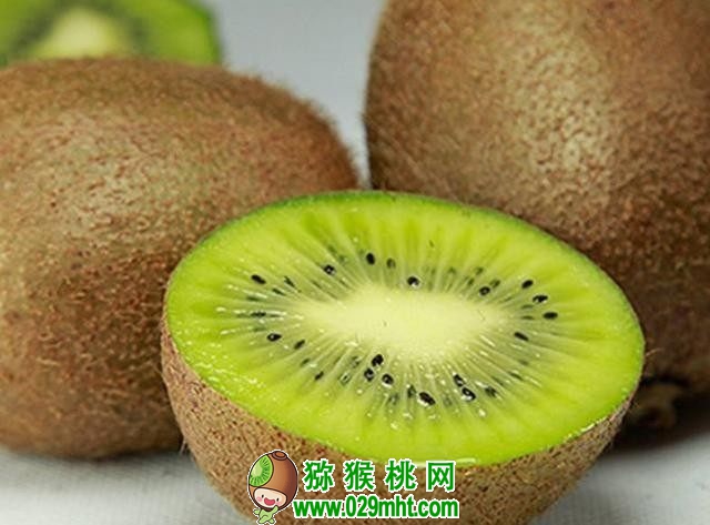 豪门国际 0ebe6
