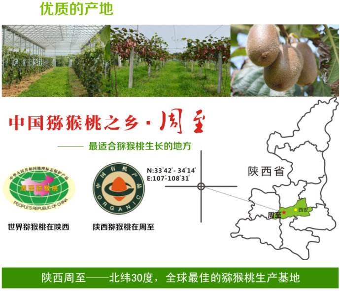 豪门国际 ae187