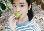 陕西巨婴特产豪门国际猕猴桃特供，找我就对了