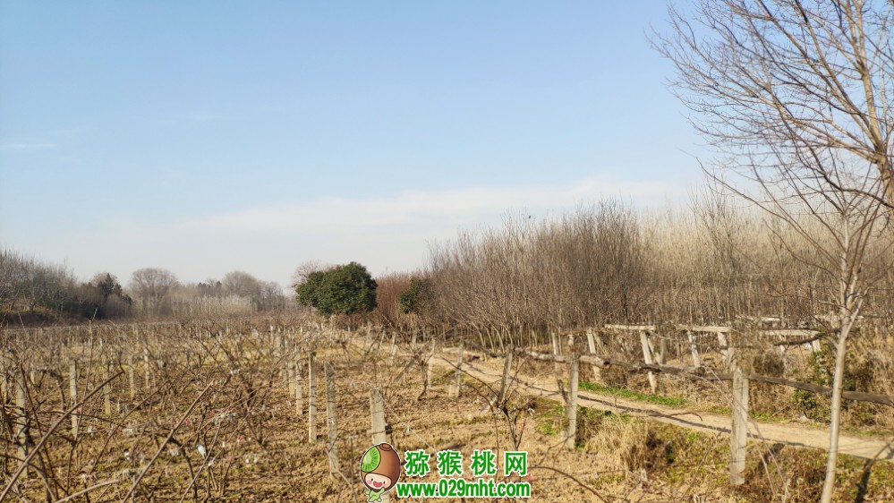 豪门国际 f5d59