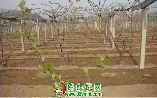 豪门国际官方网站图片