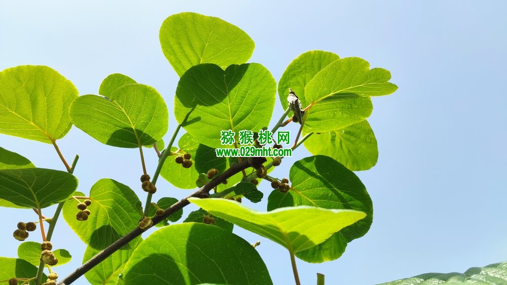 豪门国际 6bb91