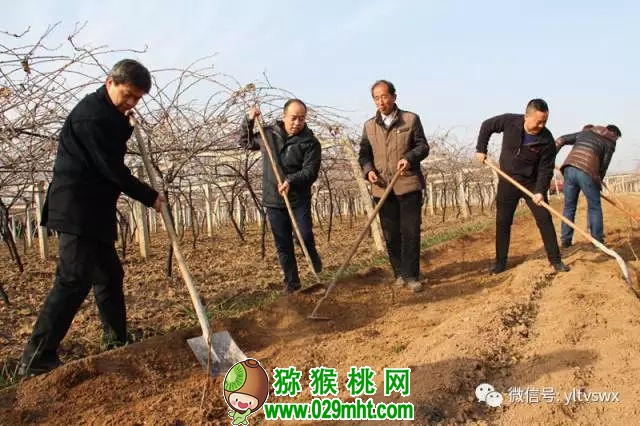 豪门国际官方网站图片