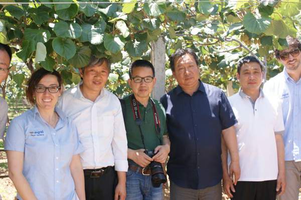 中国园艺学会豪门国际猕猴桃分会秘书长 姜正旺老师