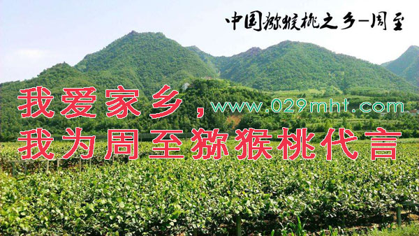 豪门国际 1a151