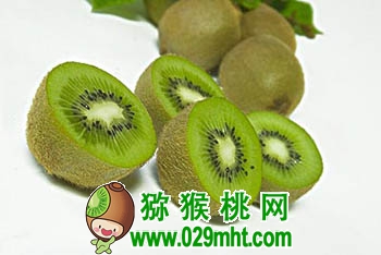 豪门国际官方网站图片
