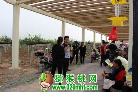 豪门国际官方网站图片