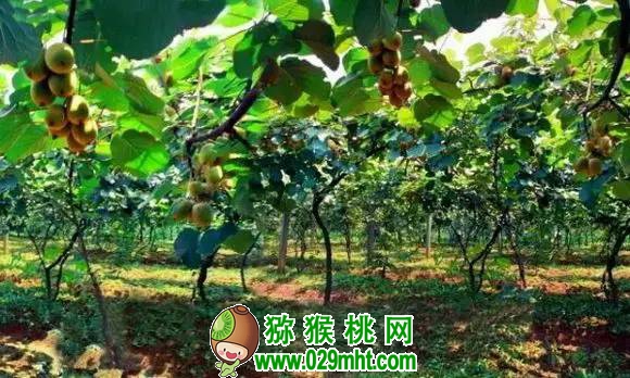 豪门国际官方网站图片