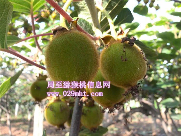 豪门国际官方网站图片