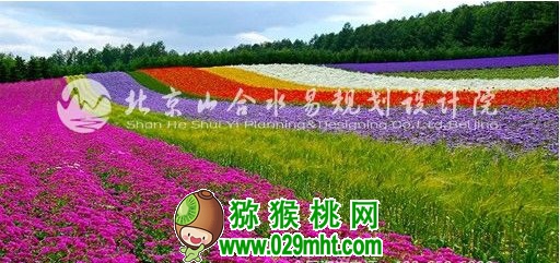 豪门国际官方网站图片